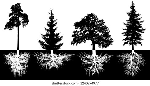 Set of trees with roots, vector silhouette. Forest trees, pine, fir-tree, spruce, oak