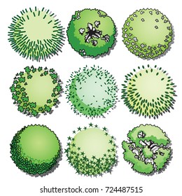 Set of trees and shrubs color. Top view. use in your landscape design.vector illustration
