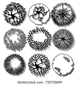 Set of trees and shrubs. Top view. use in your landscape design.vector illustration
