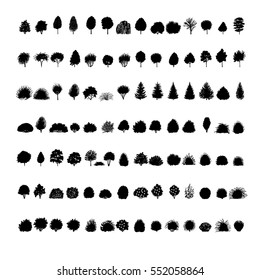  set of Trees silhouette. dendrology collection. graphic template. vector illustration