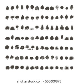  set of Trees silhouette. dendrology collection. graphic template. vector illustration.