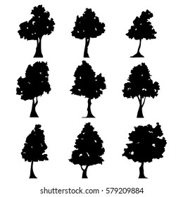 Set of trees silhouette on white background