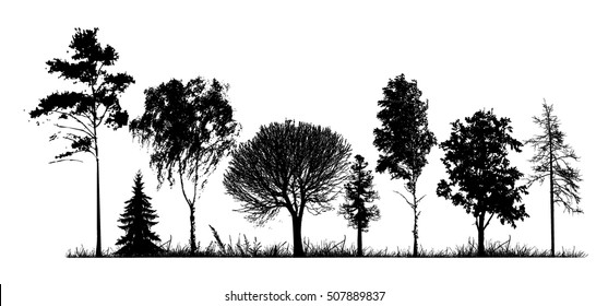 Set of trees silhouette. Vector