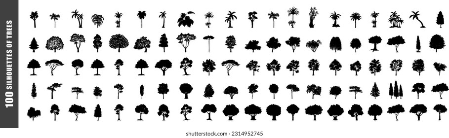 Set of trees in silhouettes. Create many more shapes of trees from leaves and trees bottom row. Vector illustration