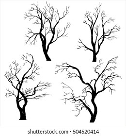 Tree Silhouette Without Leaves Winter Twigsisolated Stock Vector 