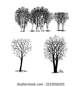 Set of trees sketch hand drawing silhouette black and white vector illustration.