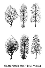 set of trees, a sketch of a hand-drawn vector illustration