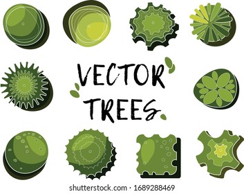 a set of trees top view