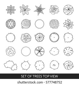 Set of trees. Top view
