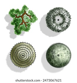 Set  trees top view in color. Pictograms for general plans  landscape design in sketch style with shadow. Isolated on white background. Vector.