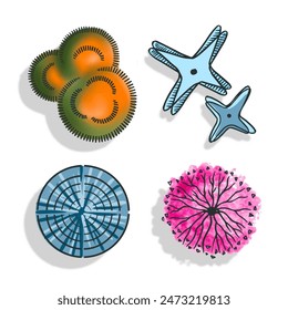 Set  trees top view in color. Pictograms for general plans  landscape design in sketch style with shadow. Isolated on white background. Vector.