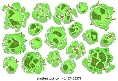 Set of trees in top view. Different icon of plants and trees for architectural or landscape plan. View from above. Vector