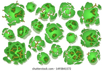 Set of trees in top view. Different icon of plants and trees for architectural or landscape plan. View from above. Nature gret en spaces. Vector

