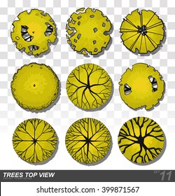 Set of Trees top view for landscape design- vector illustration
