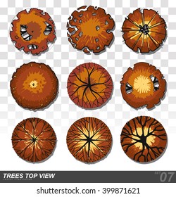 Set of Trees top view for landscape design- vector illustration