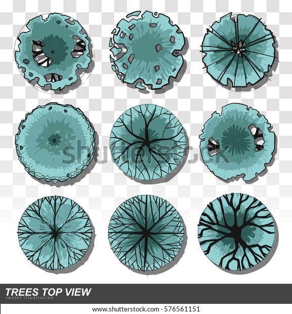 Set Trees Top View Landscape Design Stock Vector (Royalty Free ...