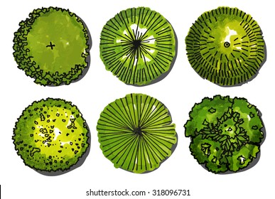 A set of Trees - top view. use in your landscape design.vector illustration