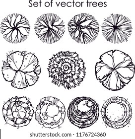 Set Trees Symbols Top View Use Stock Vector (Royalty Free) 528932857 ...