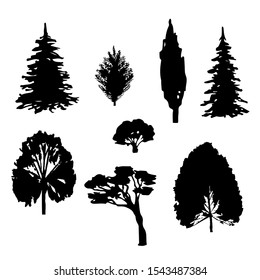 Set of trees of various forms of breeds. Black silhouette of deciduous coniferous trees. Vector objects illustration isolated on white background.