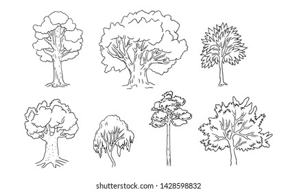 A set of trees. Various trunks and foliage of plants, forest trees. Sketch style, contours and spots, linear handrawing. Illustration on white background.