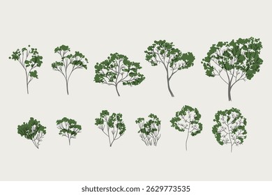 Set of trees vector graphic, background, clipart, facades, garden, landscape, nature.