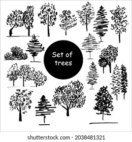 Set of trees vector illustration. Black trees doodles isolated on white background.