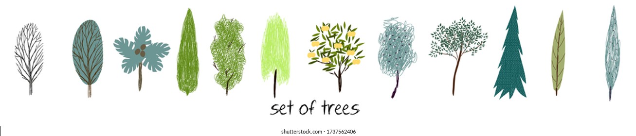 Set of trees. Vector illustration with different cute hand-drawn trees. Set for background 