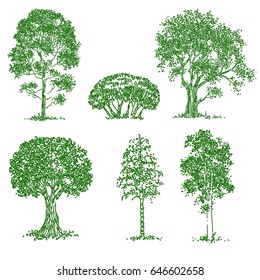The set of trees Vector illustration, sketch.