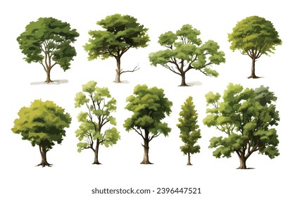 Set of trees, water color effect in trees, vector, eps 10