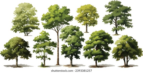 Set of trees, Watercolor effect, vector, Eps 10