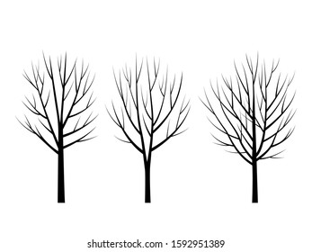 Set of Trees without leaves glyph icon. black silhouette of winter trees with branches. flat vector illustration. icon isolated on white background