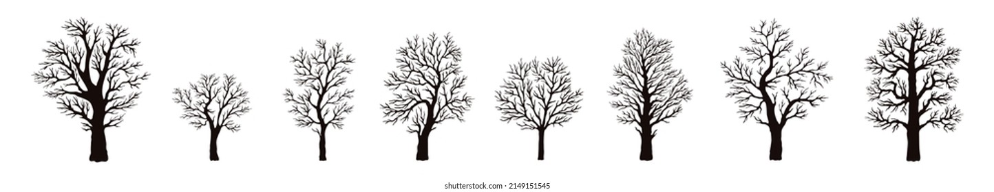 A set of trees without leaves. A set of silhouettes of trees with branches on a white background in a vector on a white background. Oak, maple, fruit trees. Flora and trees. Vector illustration.