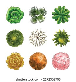A set of treetop symbols, for architectural or landscape design
