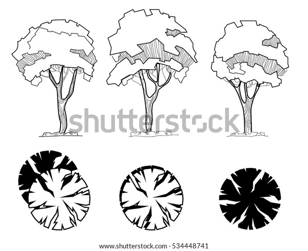 Mimari Veya Peyzaj Tasarimi Icin Agac Stok Vektor Telifsiz 534448741