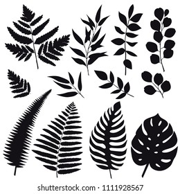 Set trend leaves silhouettes isolated on white background for design. Vector EPS10 