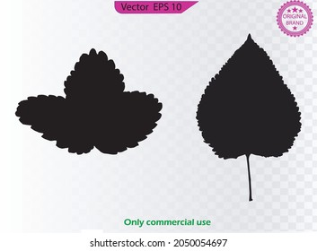 Set trend leaves silhouettes isolated on white background for design. Branch, leaves black silhouettes set. Black  leaf icons set
