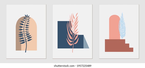 Set of trending templates, abstract geometric shapes, botanical elements, palm leaf, exotic plants, minimalism, hand drawn. Poster, room interior decor, design for textiles, postcard, concept, Vector