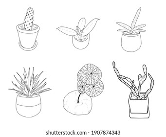 Set of trendy Air purification trees drawn hand with black outline Monstera, Aloe vera, snake plant, Green Sansevieria and Cactus. Stylish hipster room decor. isolate