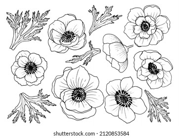 Set of trendy anemone flowers for logo or decoration. Hand drawn wedding decorations, tattoos, nail stickers, elegant leaves for invitation save the card date. Vector