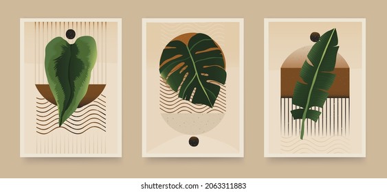 Set of trendy boho abstract botanical illustrations. Modern style wall decor. Collection of contemporary artistic posters.