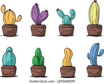 Set of trendy colorful succulents and cactus plants in garden pottery
