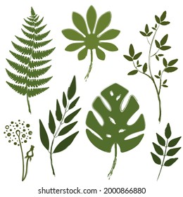 Set of trendy floral illustrations isolated on white. Green plant leaves vector illustration