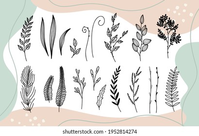 Set trendy hand drawn minimalistic floral botanical elements.Icon with branch and leaves. Boho floral for logo design. Perfect for wedding invitations, cards, blogs.Abstract modern trendy vector 