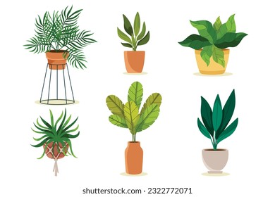 Set of trendy indoor houseplants. Potted plants for home, urban jungle decor. Modern vector illustration isolated on white background, hand drawn, flat design