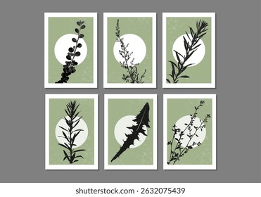 Set of trendy minimalist botanical vector illustration with branch and leaves