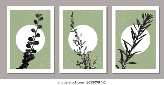 Set of trendy minimalist botanical vector illustration with branch and leaves