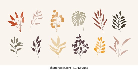 Set of trendy plants with different textures illustration in natural colors