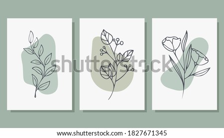 
Set of trendy posters with plants. Abstract illustration. Modern Art. Minimalism. Vector illustration.