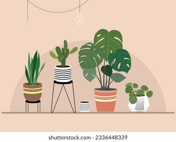 Set of trendy potted green plants for home. Different indoor houseplants isolated on background. Colored flat vector illustration