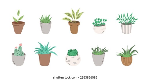 Set of trendy potted houseplants. Different indoor flowers isolated on white background. Alocasia, begonia, fan palm, monstera, ficus, strelitzia and oxalis. Flat vector illustration